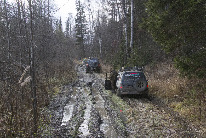 IMG_ (10)